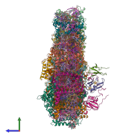 PDB entry 7a4p coloured by chain, side view.
