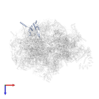 Large ribosomal subunit protein bL28m in PDB entry 7a5g, assembly 1, top view.