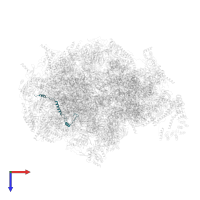 Large ribosomal subunit protein mL63 in PDB entry 7a5g, assembly 1, top view.