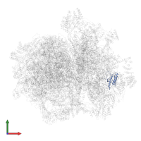 Small ribosomal subunit protein uS3m in PDB entry 7a5g, assembly 1, front view.