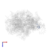 Small ribosomal subunit protein uS3m in PDB entry 7a5g, assembly 1, top view.