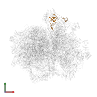 Small ribosomal subunit protein mS34 in PDB entry 7a5g, assembly 1, front view.