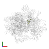 Small ribosomal subunit protein bS6m in PDB entry 7a5i, assembly 1, front view.