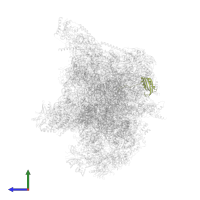 Small ribosomal subunit protein bS6m in PDB entry 7a5i, assembly 1, side view.