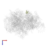 Small ribosomal subunit protein bS6m in PDB entry 7a5i, assembly 1, top view.