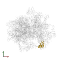 Small ribosomal subunit protein mS29 in PDB entry 7a5i, assembly 1, front view.