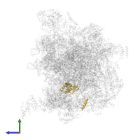 Large ribosomal subunit protein bL17m in PDB entry 7a5j, assembly 1, side view.