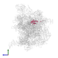 Large ribosomal subunit protein uL18m in PDB entry 7a5j, assembly 1, side view.