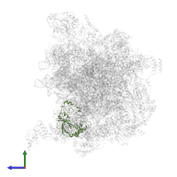 Large ribosomal subunit protein bL19m in PDB entry 7a5j, assembly 1, side view.