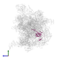 Large ribosomal subunit protein uL22m in PDB entry 7a5j, assembly 1, side view.