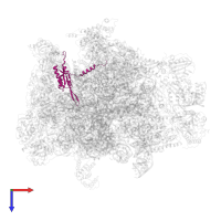 Large ribosomal subunit protein uL22m in PDB entry 7a5j, assembly 1, top view.