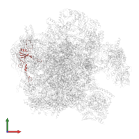Large ribosomal subunit protein uL23m in PDB entry 7a5j, assembly 1, front view.