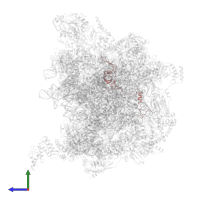 Large ribosomal subunit protein uL23m in PDB entry 7a5j, assembly 1, side view.