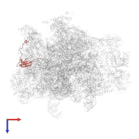 Large ribosomal subunit protein uL23m in PDB entry 7a5j, assembly 1, top view.