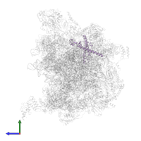 Large ribosomal subunit protein uL29m in PDB entry 7a5j, assembly 1, side view.