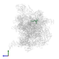 Large ribosomal subunit protein bL35m in PDB entry 7a5j, assembly 1, side view.