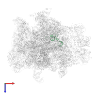 Large ribosomal subunit protein bL35m in PDB entry 7a5j, assembly 1, top view.