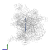 Large ribosomal subunit protein mL40 in PDB entry 7a5j, assembly 1, side view.