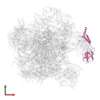 Large ribosomal subunit protein mL46 in PDB entry 7a5j, assembly 1, front view.