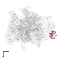 Large ribosomal subunit protein mL46 in PDB entry 7a5j, assembly 1, top view.