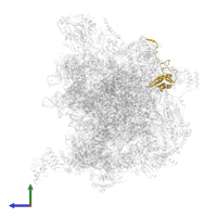 Large ribosomal subunit protein mL49 in PDB entry 7a5j, assembly 1, side view.