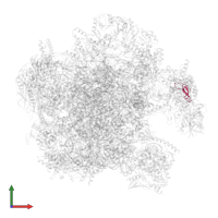 Large ribosomal subunit protein mL55 in PDB entry 7a5j, assembly 1, front view.