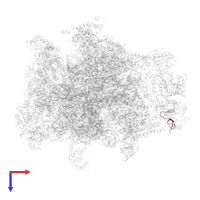 Large ribosomal subunit protein mL55 in PDB entry 7a5j, assembly 1, top view.