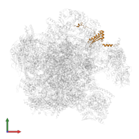 Large ribosomal subunit protein mL62 in PDB entry 7a5j, assembly 1, front view.