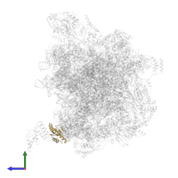 Mitochondrial assembly of ribosomal large subunit protein 1 in PDB entry 7a5j, assembly 1, side view.