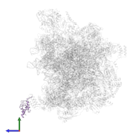 Acyl carrier protein, mitochondrial in PDB entry 7a5j, assembly 1, side view.