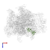 Large ribosomal subunit protein uL1 in PDB entry 7a5j, assembly 1, top view.