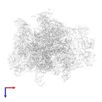 nascent chain in PDB entry 7a5j, assembly 1, top view.