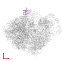 Large ribosomal subunit protein uL18 in PDB entry 7ac7, assembly 1, front view.