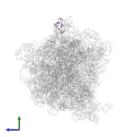 Large ribosomal subunit protein uL18 in PDB entry 7ac7, assembly 1, side view.