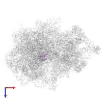 Large ribosomal subunit protein uL18 in PDB entry 7ac7, assembly 1, top view.