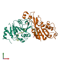 PDB entry 7acd coloured by chain, front view.