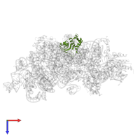 Small ribosomal subunit protein uS8 in PDB entry 7afo, assembly 1, top view.