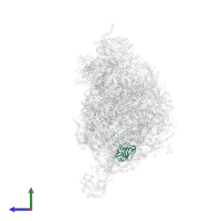 Peptidyl-prolyl cis-trans isomerase in PDB entry 7aih, assembly 1, side view.