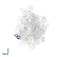 U4 in PDB entry 7am2, assembly 1, side view.