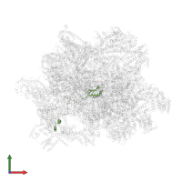 Large ribosomal subunit protein mL43 in PDB entry 7aoi, assembly 1, front view.