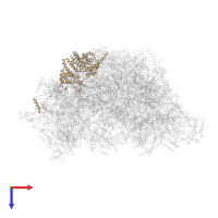 Mitochondrial RNA binding protein in PDB entry 7aoi, assembly 1, top view.