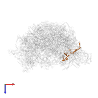 mL76 in PDB entry 7aoi, assembly 1, top view.