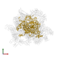 mt-LSU rRNA in PDB entry 7aoi, assembly 1, front view.