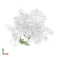 mt-LAF8 in PDB entry 7aoi, assembly 1, front view.