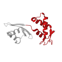 The deposited structure of PDB entry 7asa contains 1 copy of Pfam domain PF00298 (Ribosomal protein L11, RNA binding domain) in Large ribosomal subunit protein uL11. Showing 1 copy in chain E [auth K].