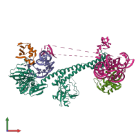 PDB entry 7asa coloured by chain, front view.