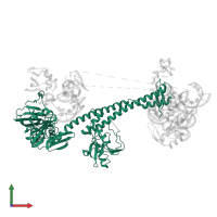 Rqc2 homolog RqcH in PDB entry 7asa, assembly 1, front view.