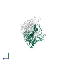 Rqc2 homolog RqcH in PDB entry 7asa, assembly 1, side view.