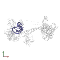 tRNA-Ala-1-1 in PDB entry 7asa, assembly 1, front view.