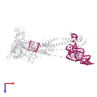 23S ribosomal RNA in PDB entry 7asa, assembly 1, top view.